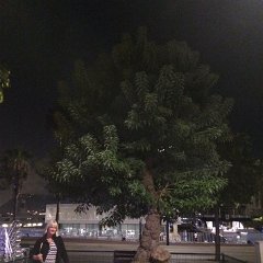 IMG 062